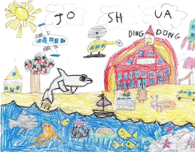 Grand Prize Winner: Joshua Liu